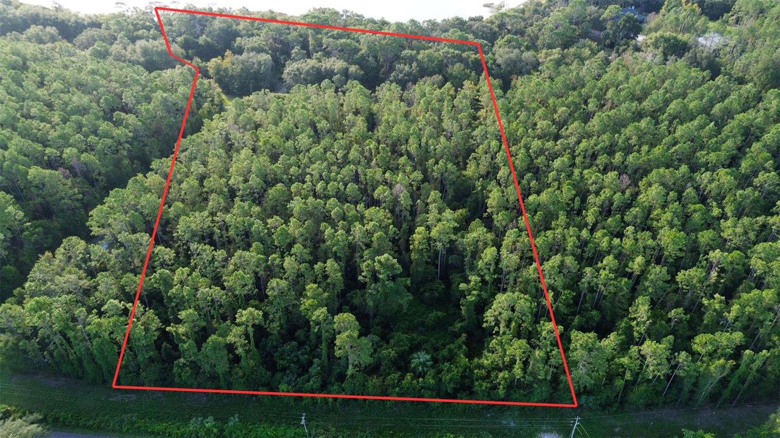 TBD SE 170TH AVE, OCKLAWAHA, FL — photo 4