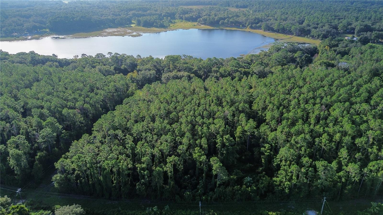 TBD SE 170TH AVE, OCKLAWAHA, FL — photo 6