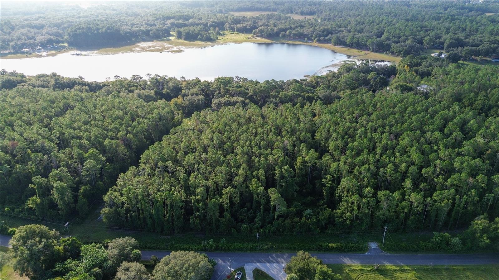 TBD SE 170TH AVE, OCKLAWAHA, FL — photo 7
