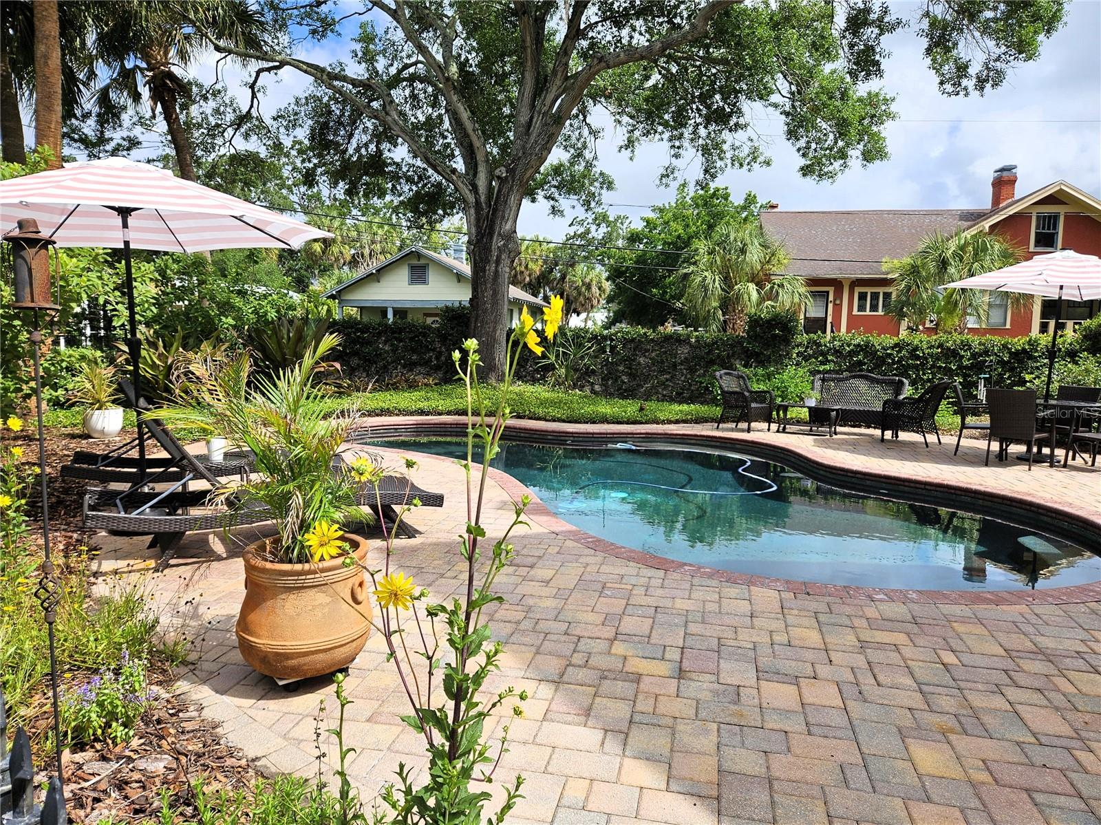 101 READ ST, TARPON SPRINGS, FL — photo 64