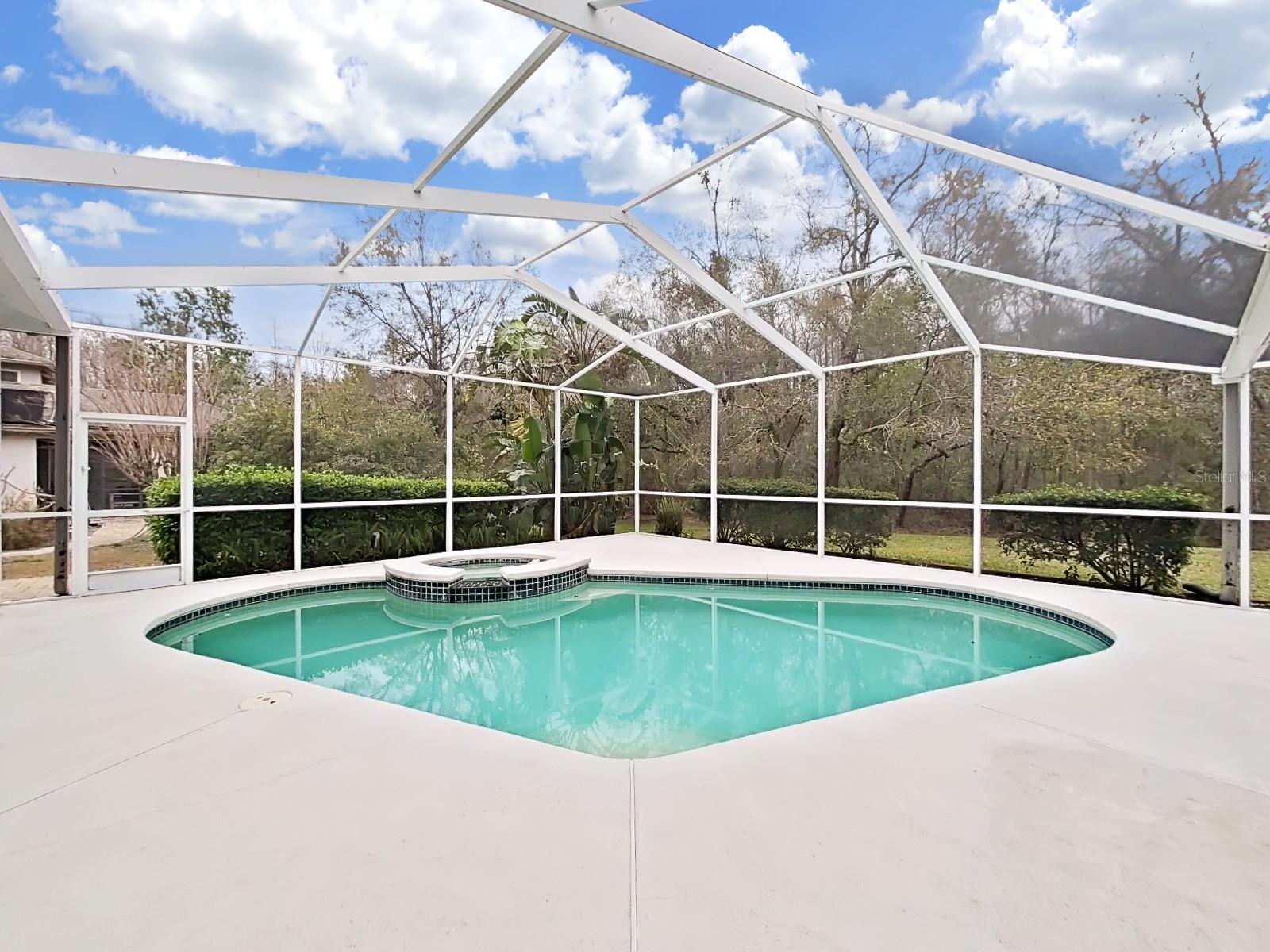 17307 OAK LEDGE DR, LUTZ, FL — photo 42