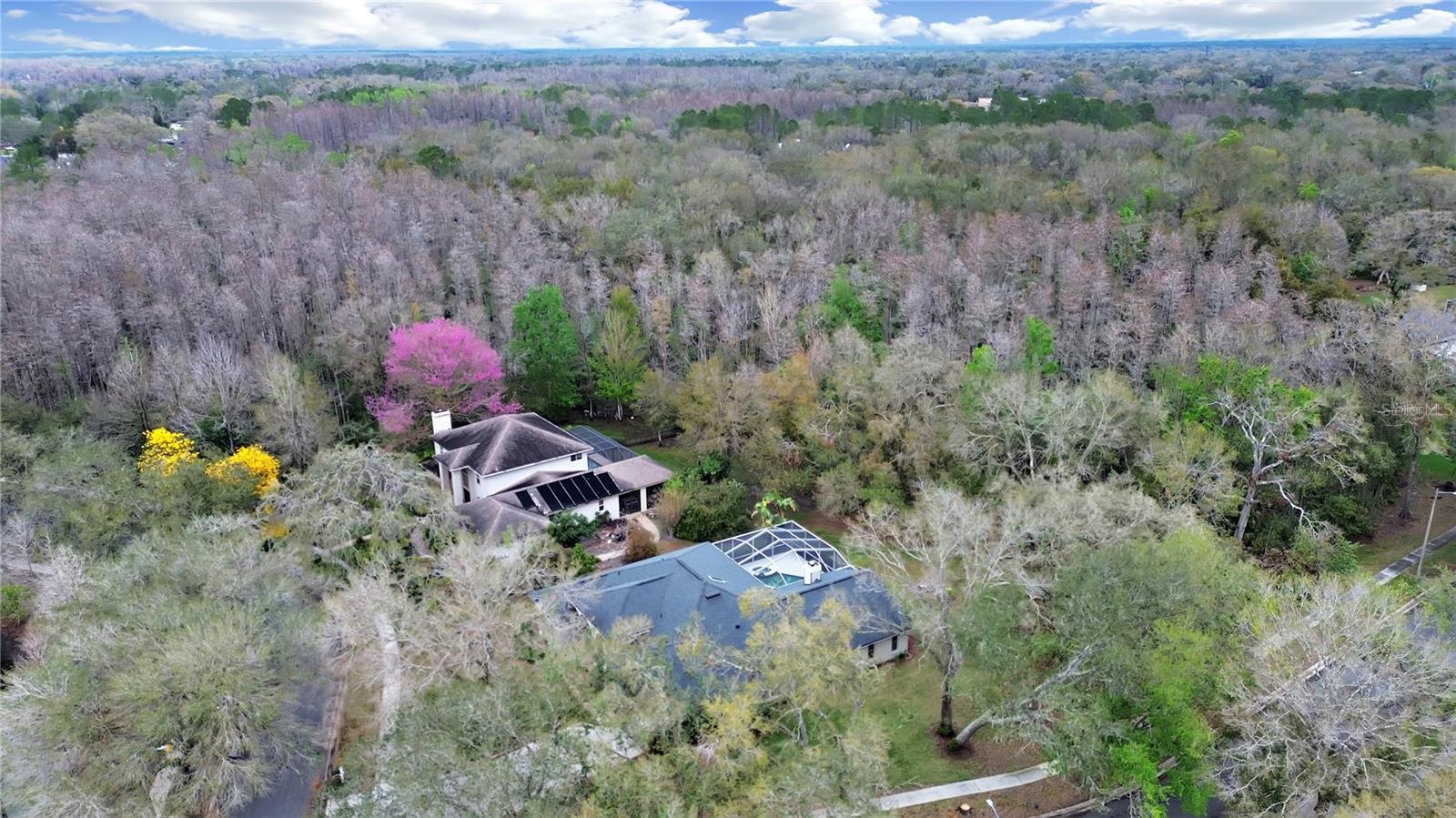 17307 OAK LEDGE DR, LUTZ, FL — photo 44