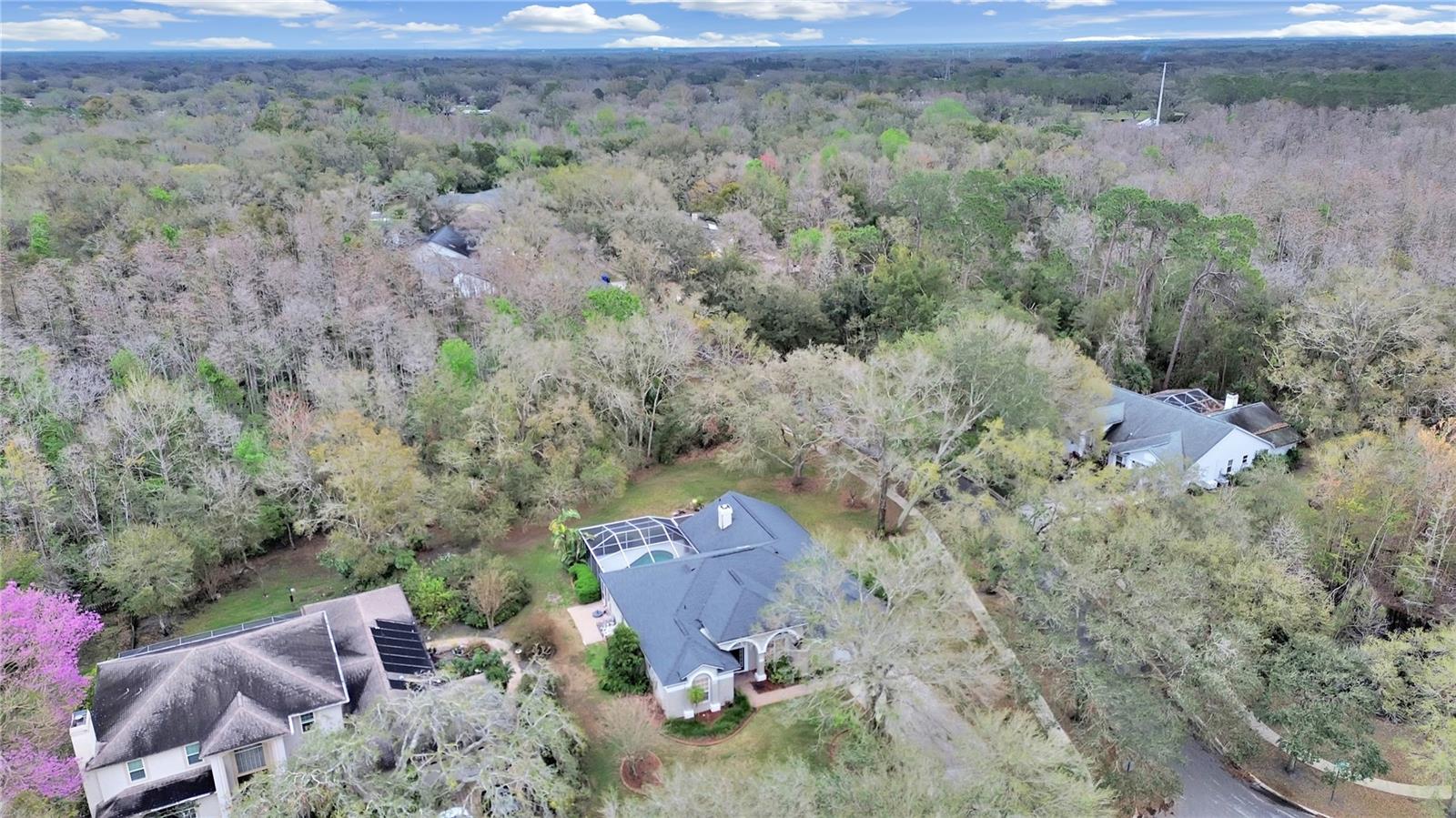 17307 OAK LEDGE DR, LUTZ, FL — photo 45