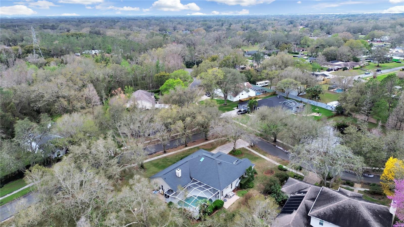 17307 OAK LEDGE DR, LUTZ, FL — photo 46