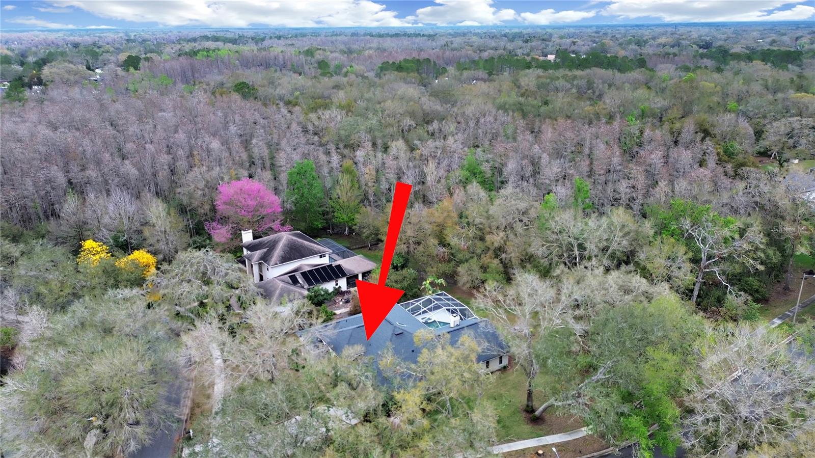 17307 OAK LEDGE DR, LUTZ, FL — photo 48