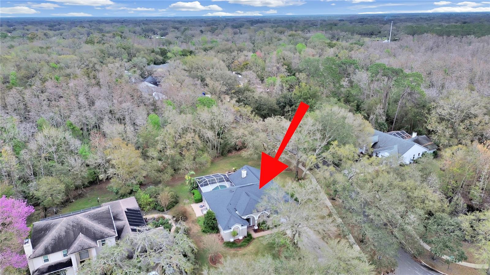 17307 OAK LEDGE DR, LUTZ, FL — photo 49