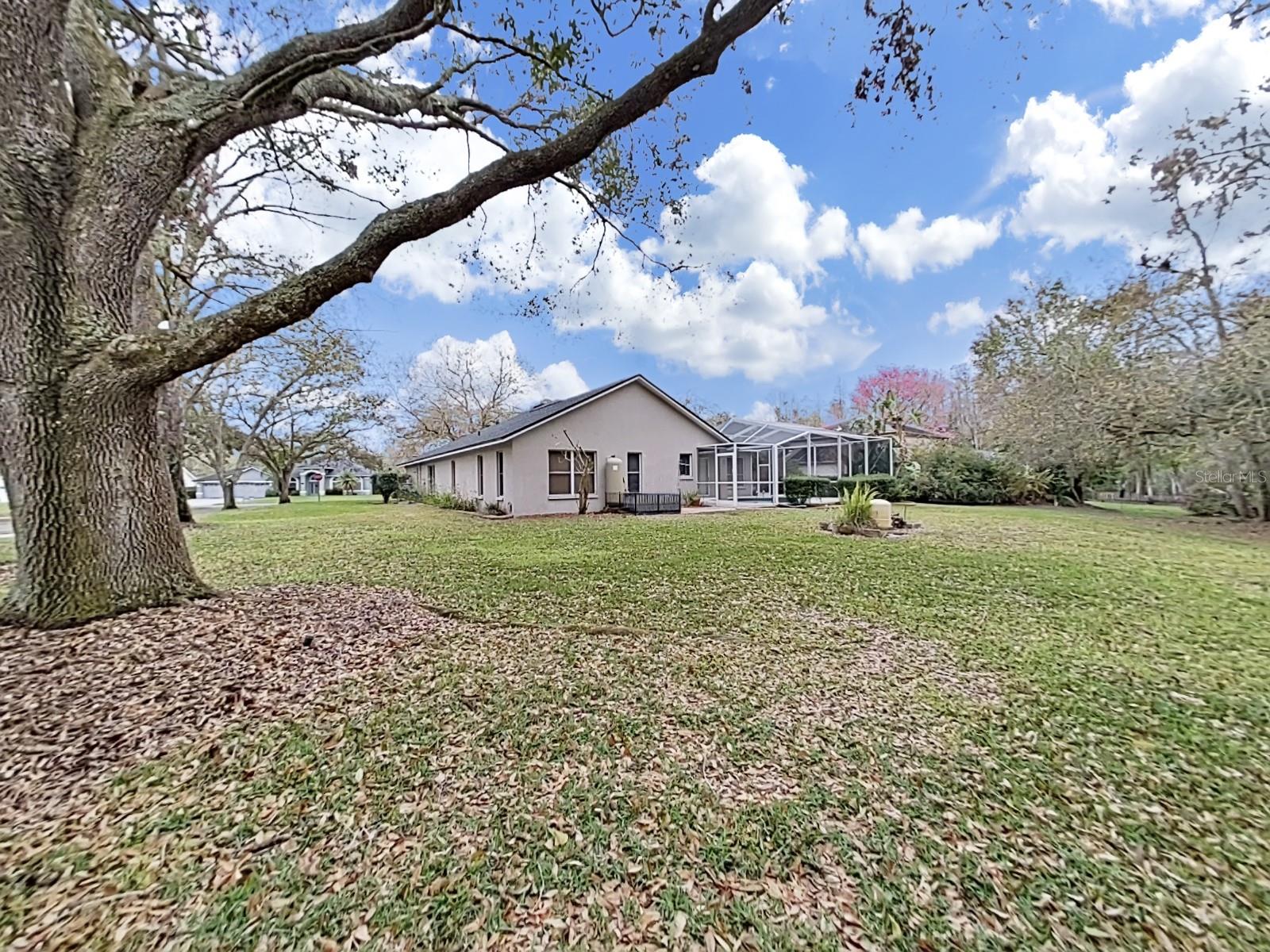 17307 OAK LEDGE DR, LUTZ, FL — photo 53