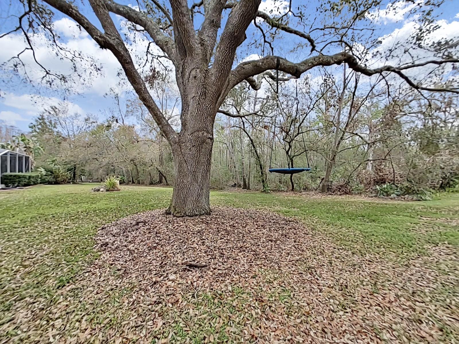 17307 OAK LEDGE DR, LUTZ, FL — photo 54
