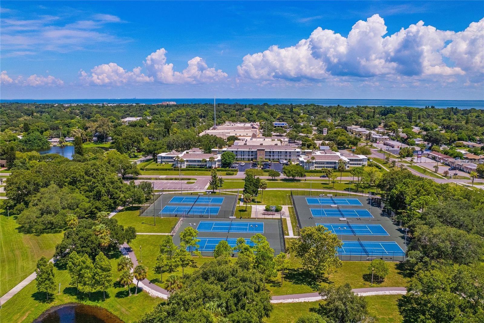 6100 12TH ST S #221, ST PETERSBURG, FL — photo 31