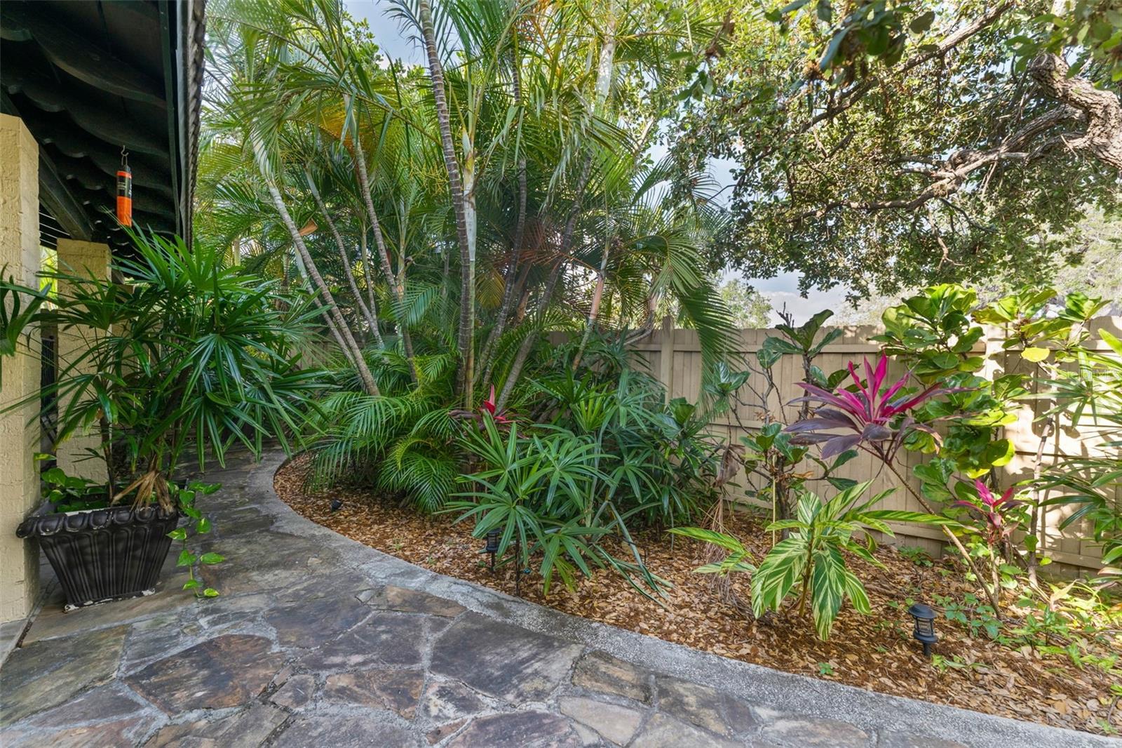 1500 MAPLE ST, CLEARWATER, FL — photo 43