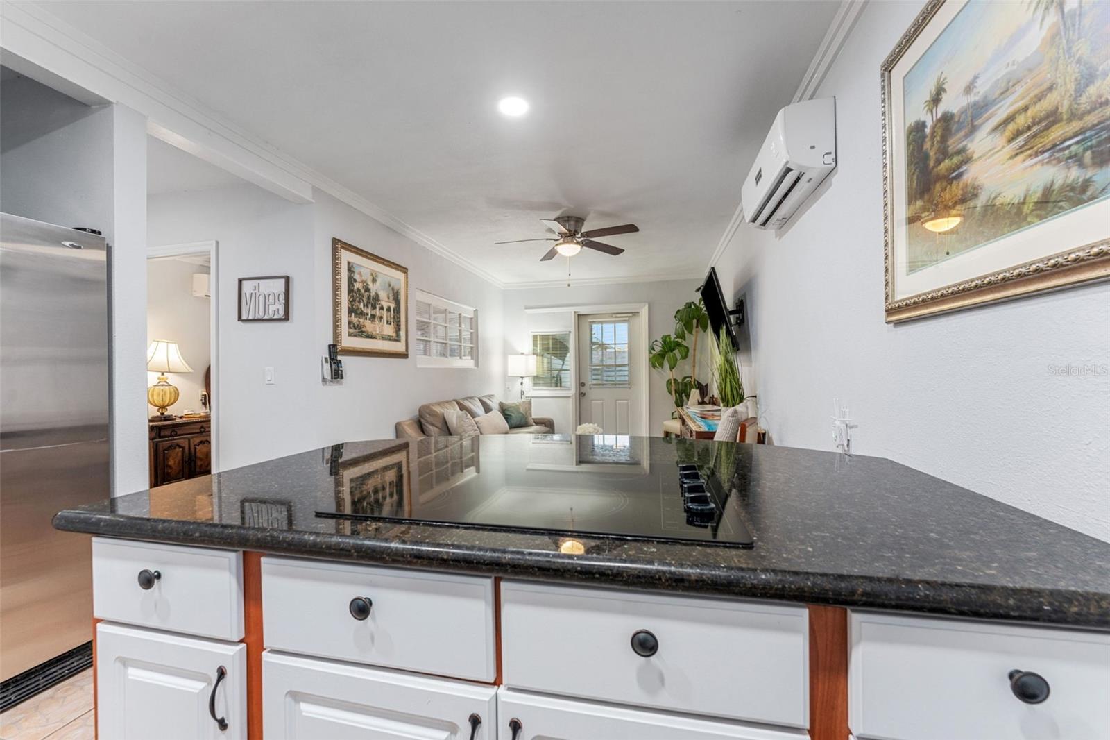 1500 MAPLE ST, CLEARWATER, FL — photo 76