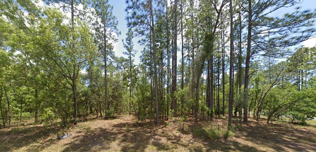 3662 W GALTONIA LN, CITRUS SPRINGS, FL — photo 4