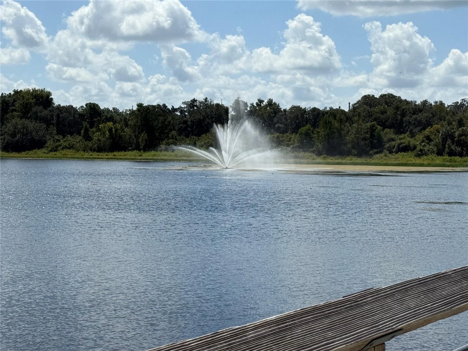 3662 W GALTONIA LN, CITRUS SPRINGS, FL — photo 9