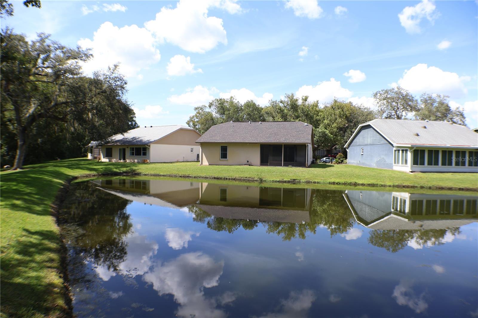 11806 WHITE ASH DR, NEW PORT RICHEY, FL — photo 29