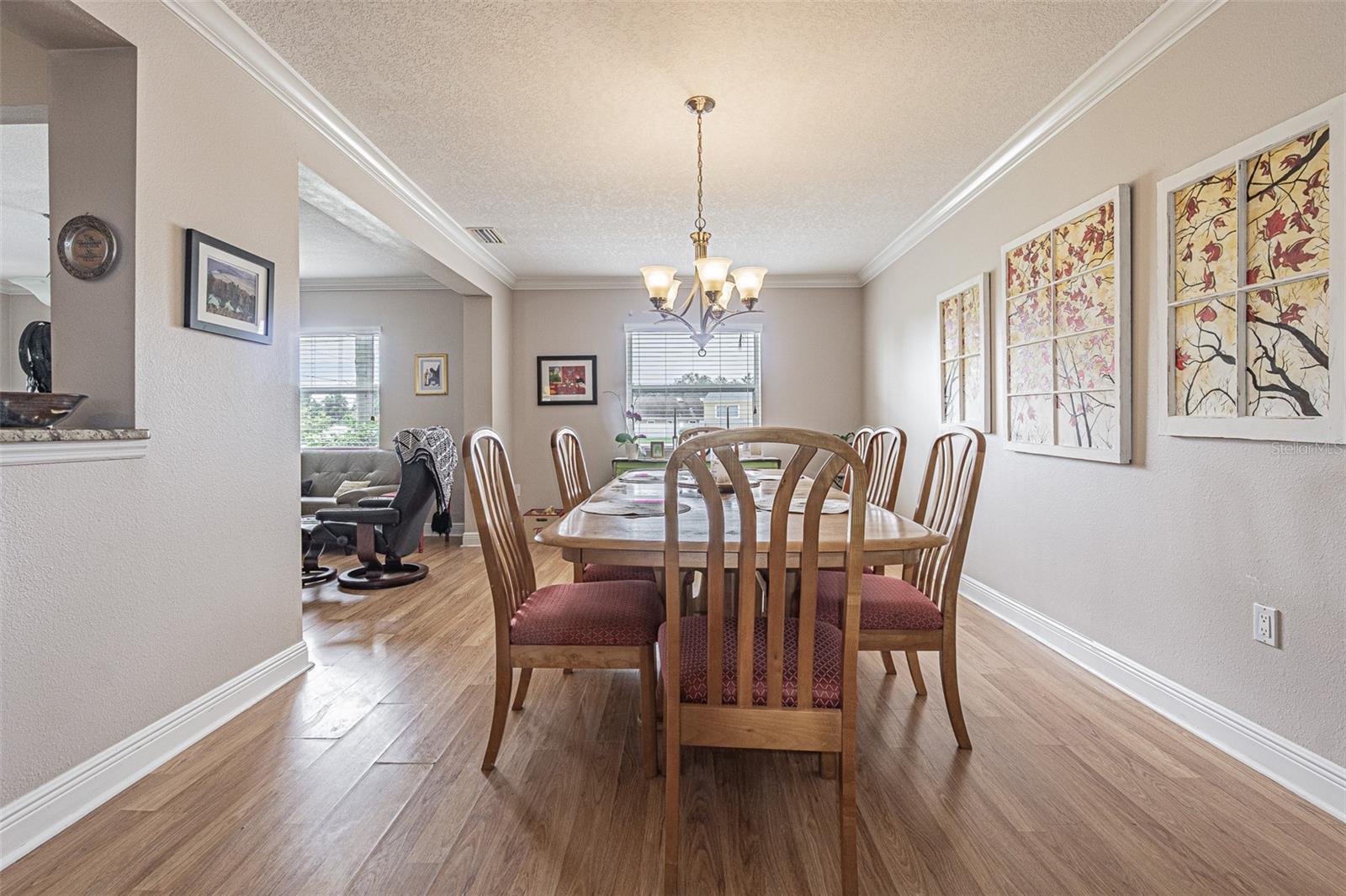912 RIVERSIDE DR, TARPON SPRINGS, FL — photo 17