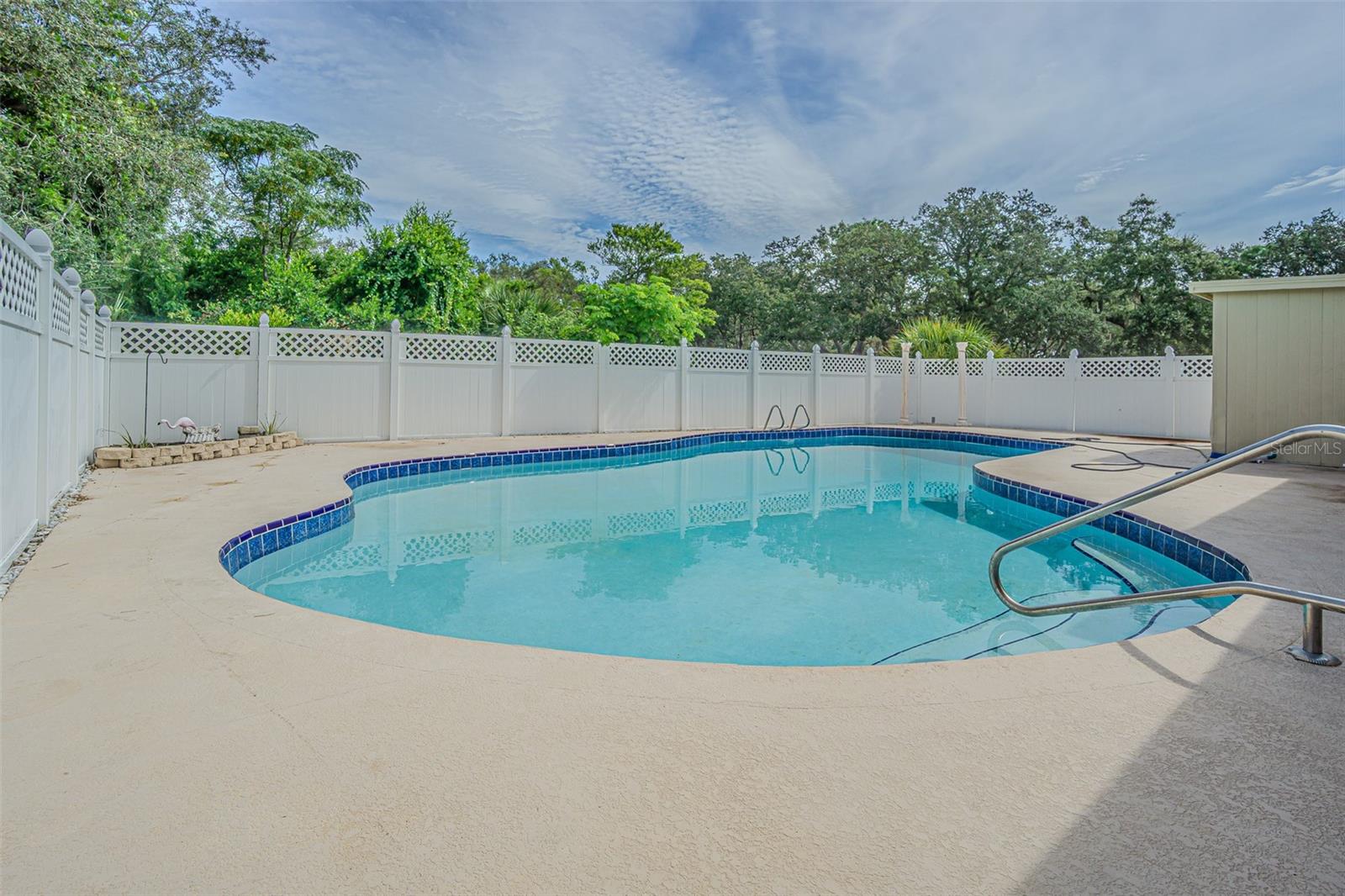 912 RIVERSIDE DR, TARPON SPRINGS, FL — photo 36
