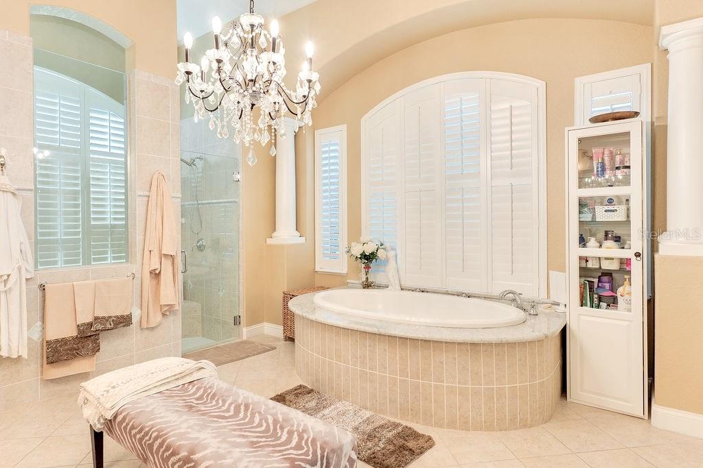 13448 BELLARIA CIR, WINDERMERE, FL — photo 30