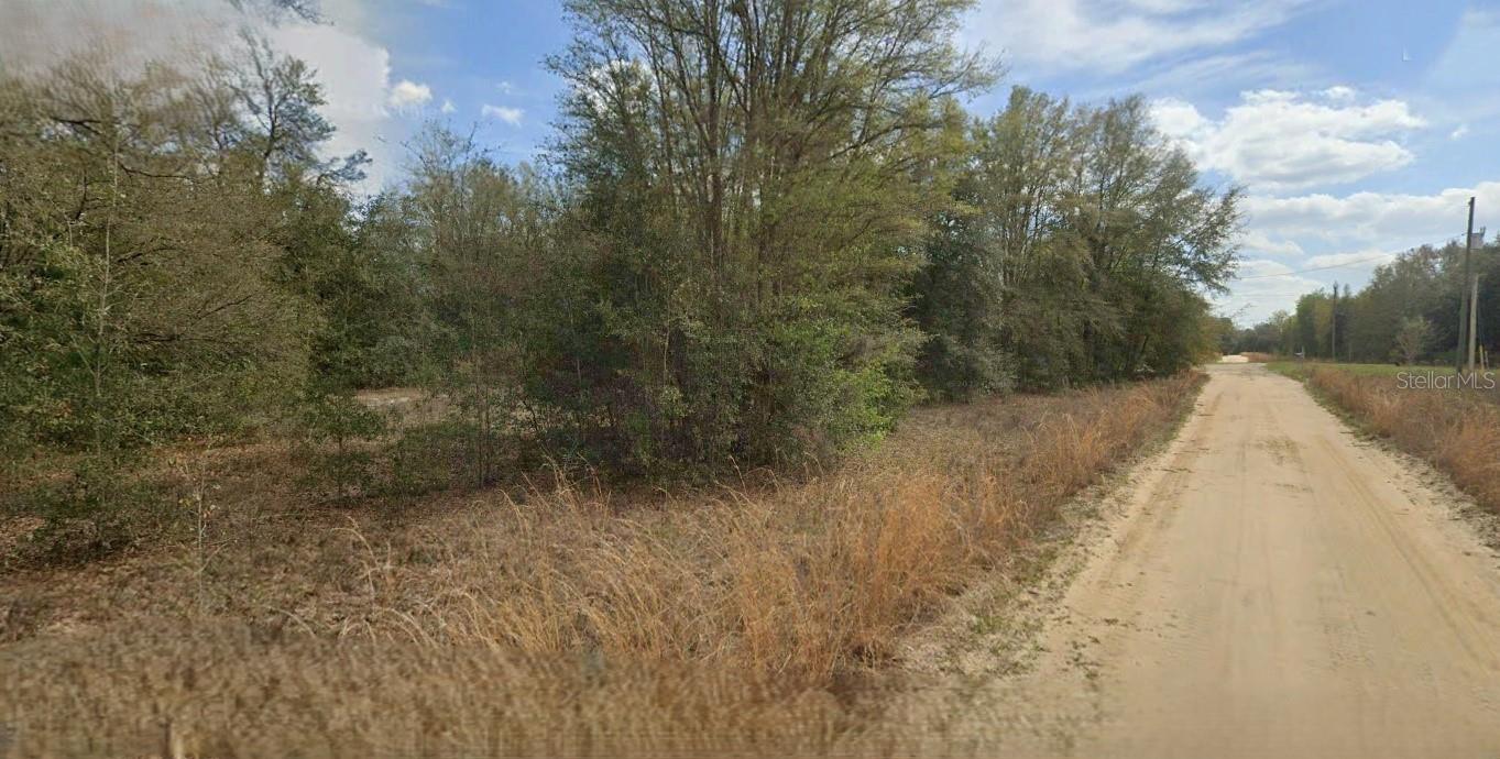 GUY AVE, INTERLACHEN, FL — photo 4