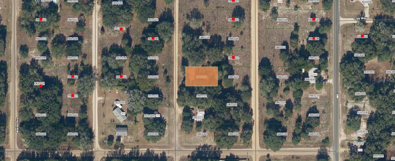 GUY AVE, INTERLACHEN, FL — photo 7