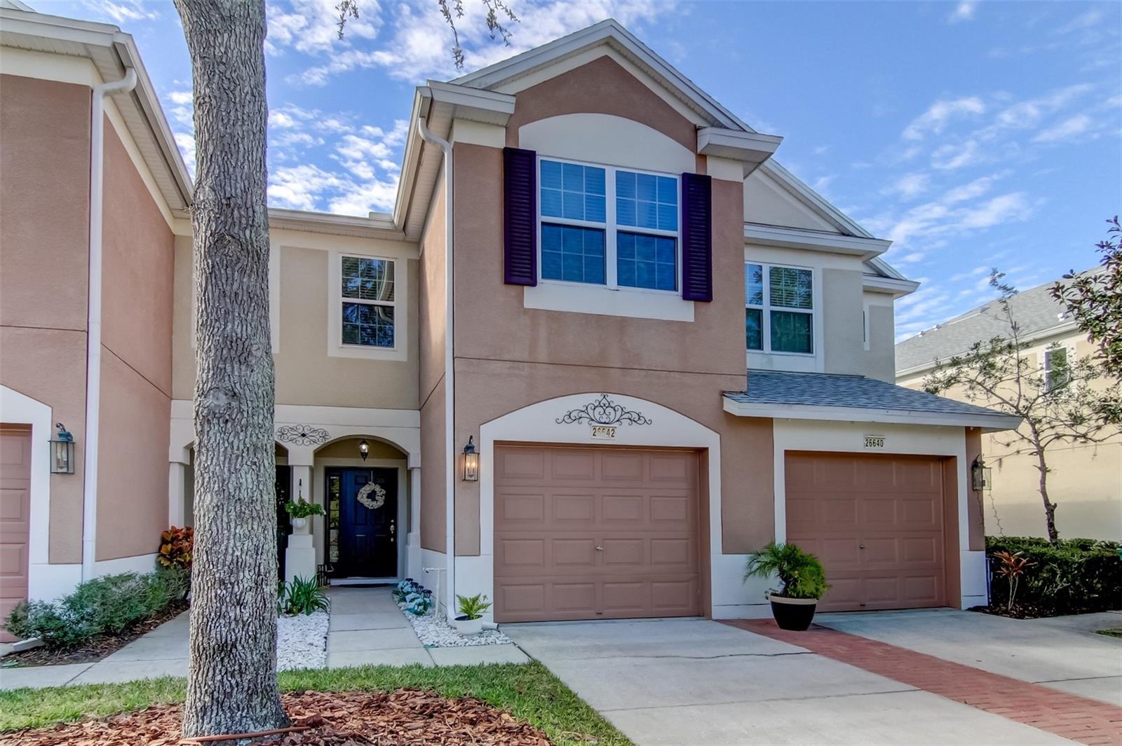 26642 CASTLEVIEW WAY, WESLEY CHAPEL, FL