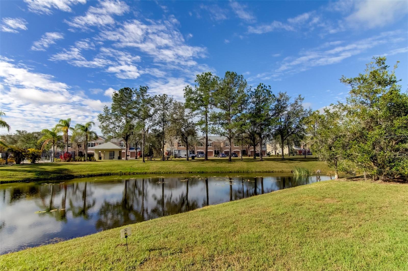 26642 CASTLEVIEW WAY, WESLEY CHAPEL, FL — photo 46