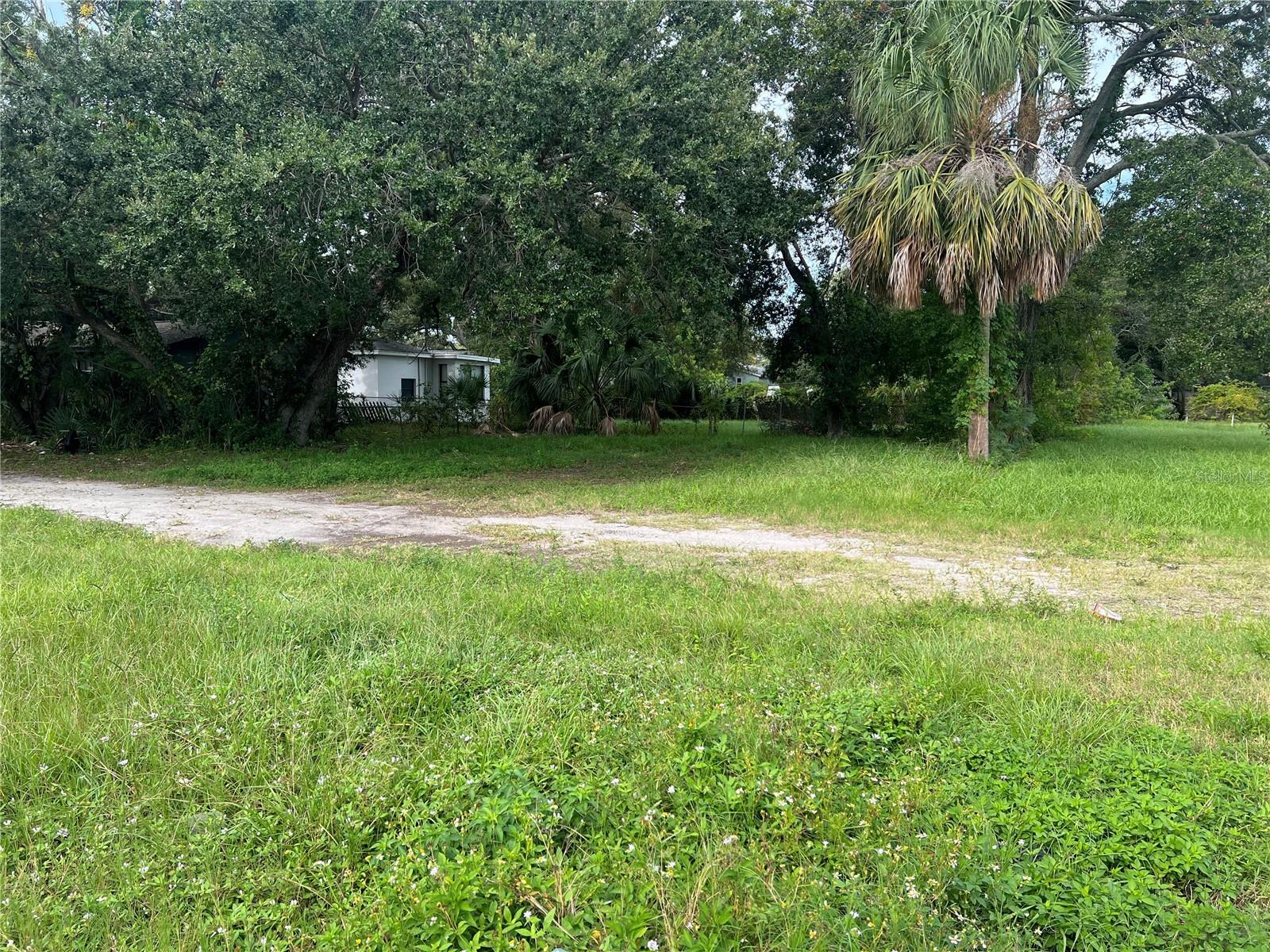 MARTIN LUTHER KING JR AVE, CLEARWATER, FL — photo 4