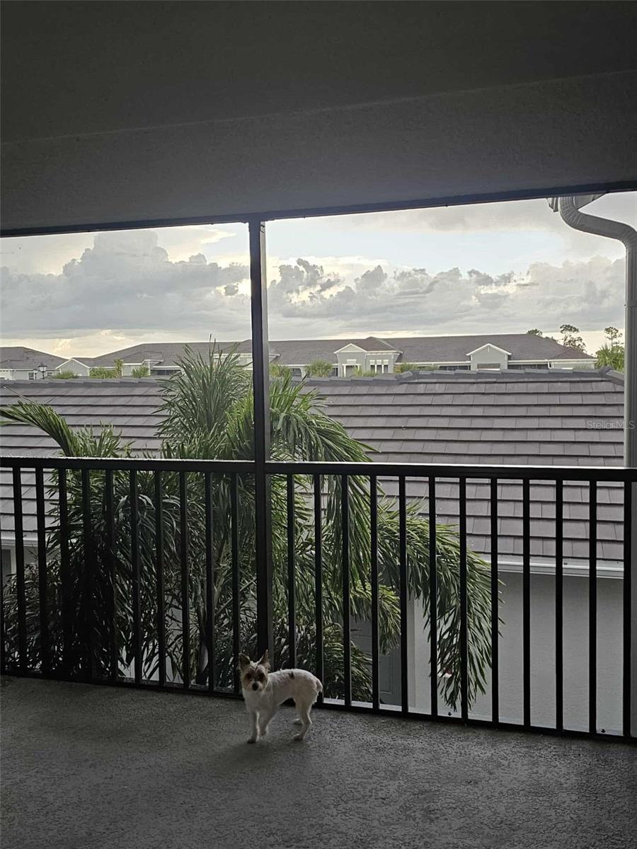 17470 OPAL SAND DR #201, VENICE, FL — photo 52