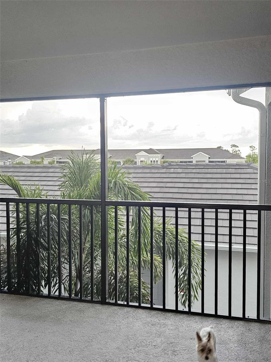 17470 OPAL SAND DR #201, VENICE, FL — photo 54