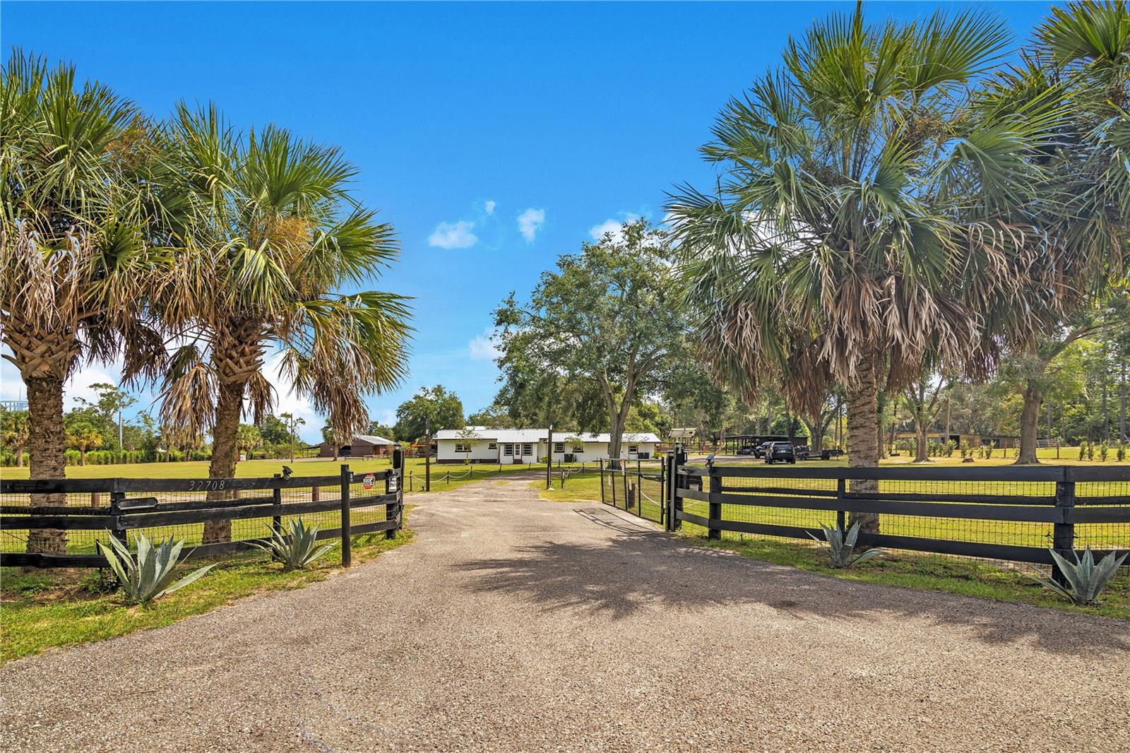 32708 GERE LN, SORRENTO, FL