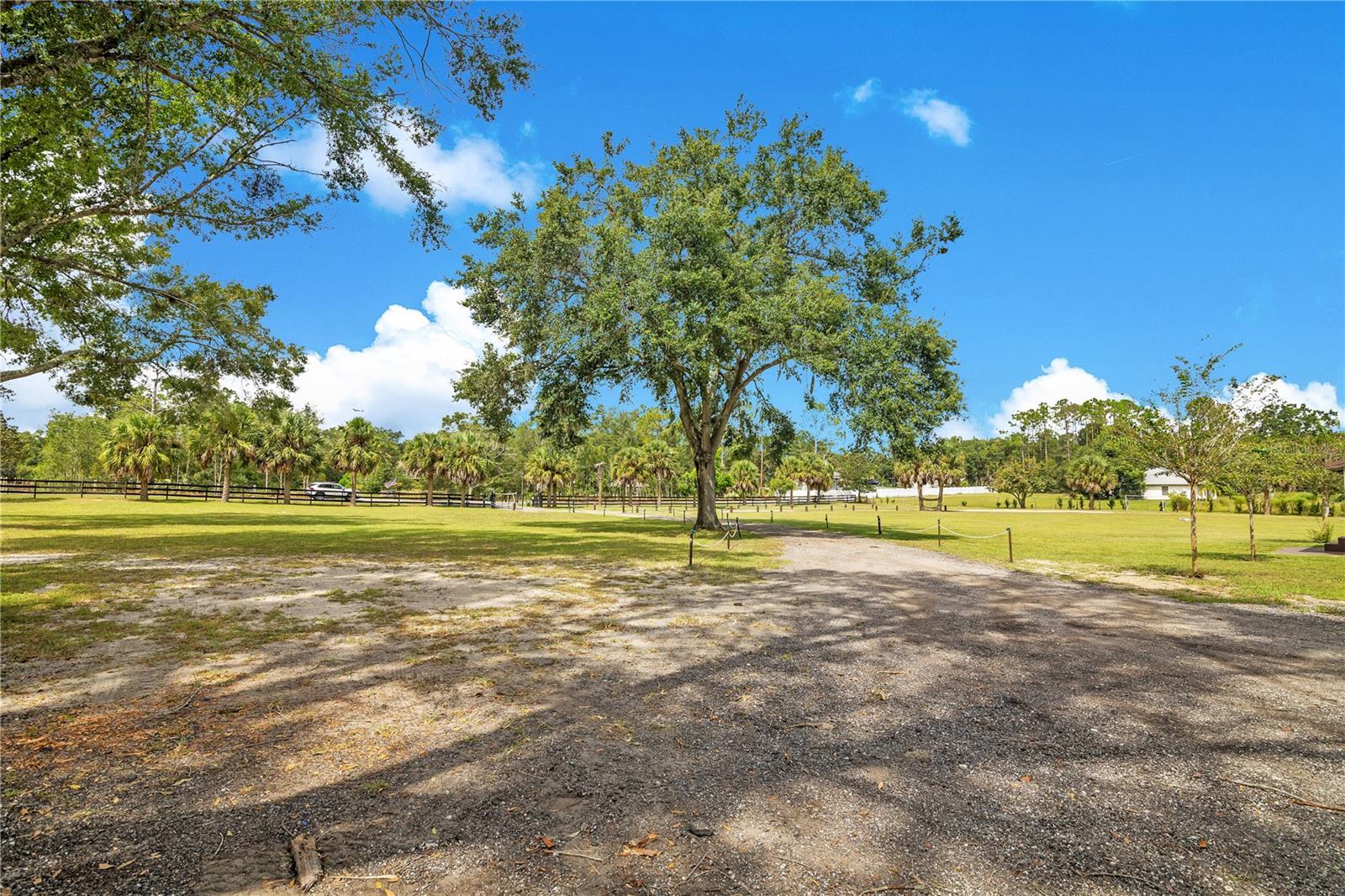 32708 GERE LN, SORRENTO, FL — photo 18