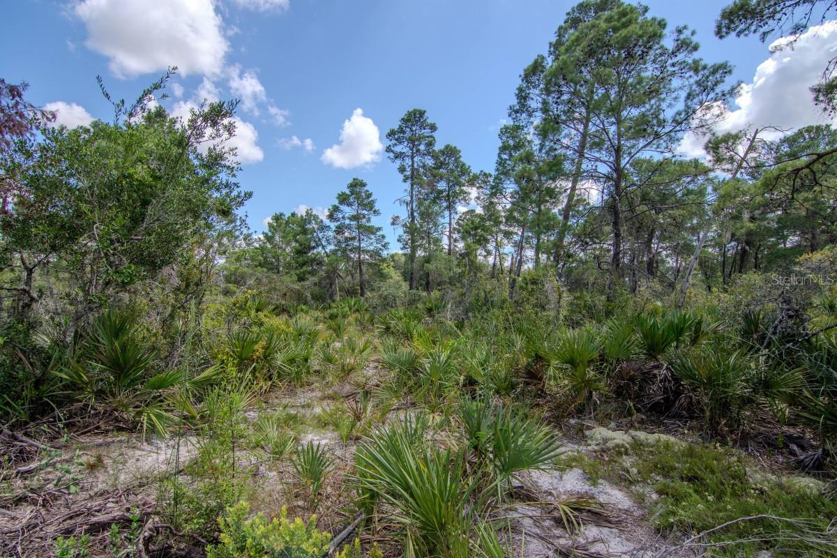 192 FREEDOM DR, FROSTPROOF, FL — photo 44