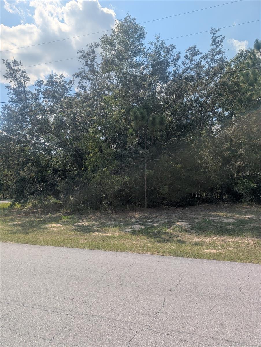 8010 N PRIMROSE DR, CITRUS SPRINGS, FL — photo 7