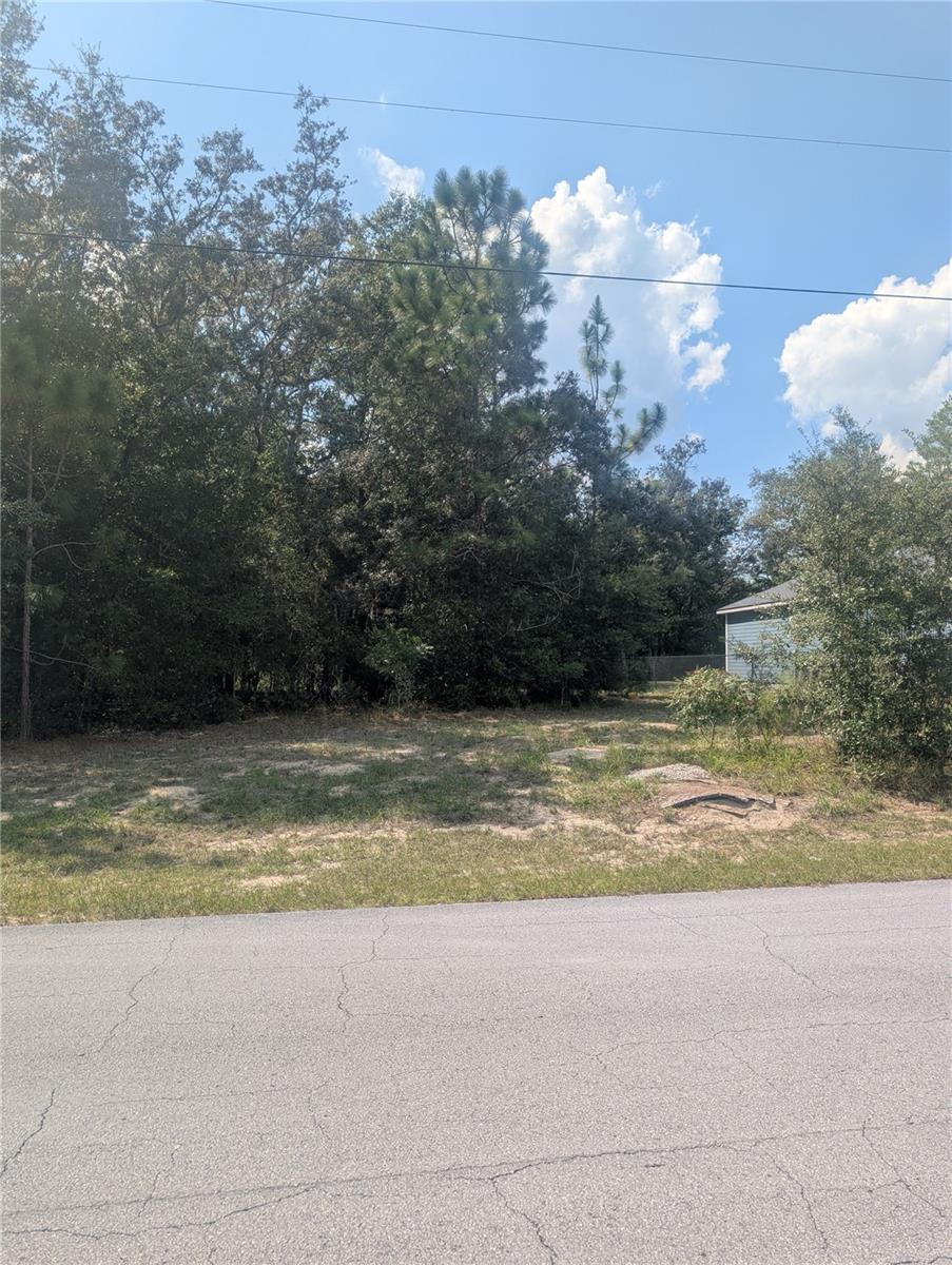 8010 N PRIMROSE DR, CITRUS SPRINGS, FL — photo 8