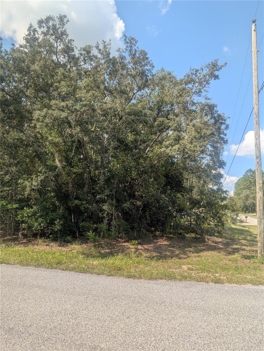 8010 N PRIMROSE DR, CITRUS SPRINGS, FL — photo 11