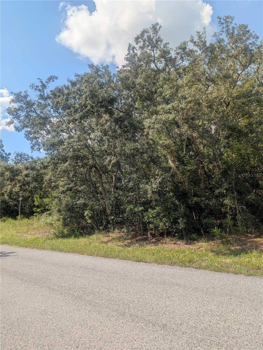 8010 N PRIMROSE DR, CITRUS SPRINGS, FL — photo 12