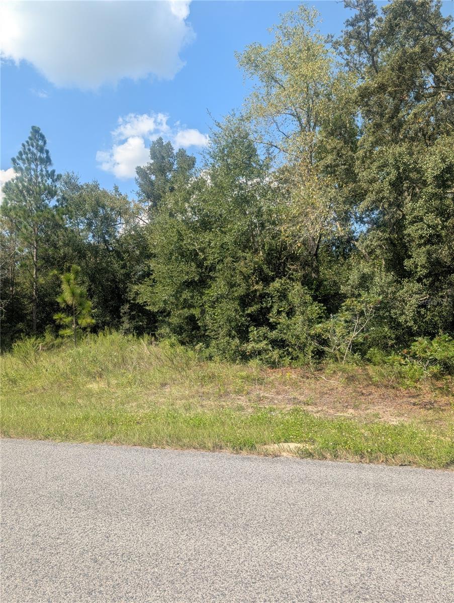 8010 N PRIMROSE DR, CITRUS SPRINGS, FL — photo 14