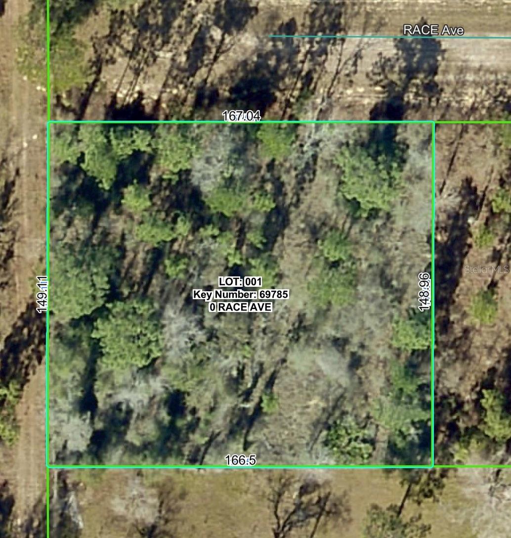 14056 RACE AVE, WEEKI WACHEE, FL