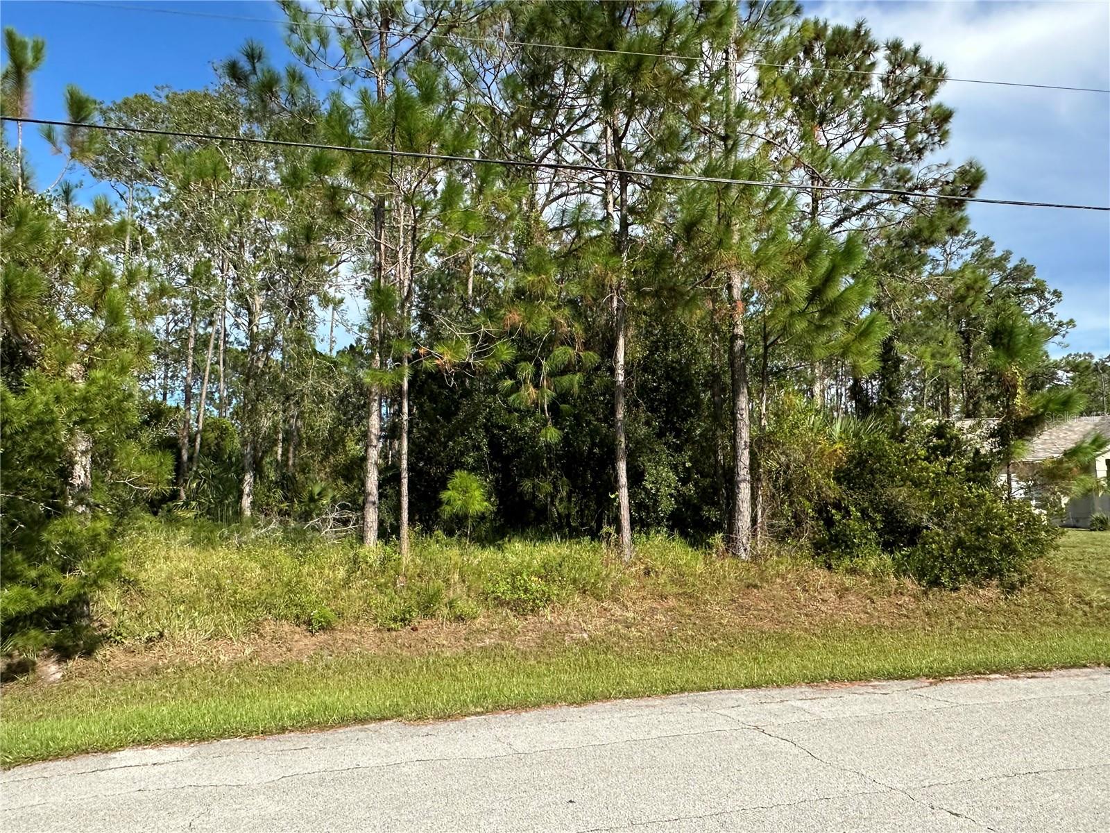 85 PRESIDENTIAL LN, PALM COAST, FL