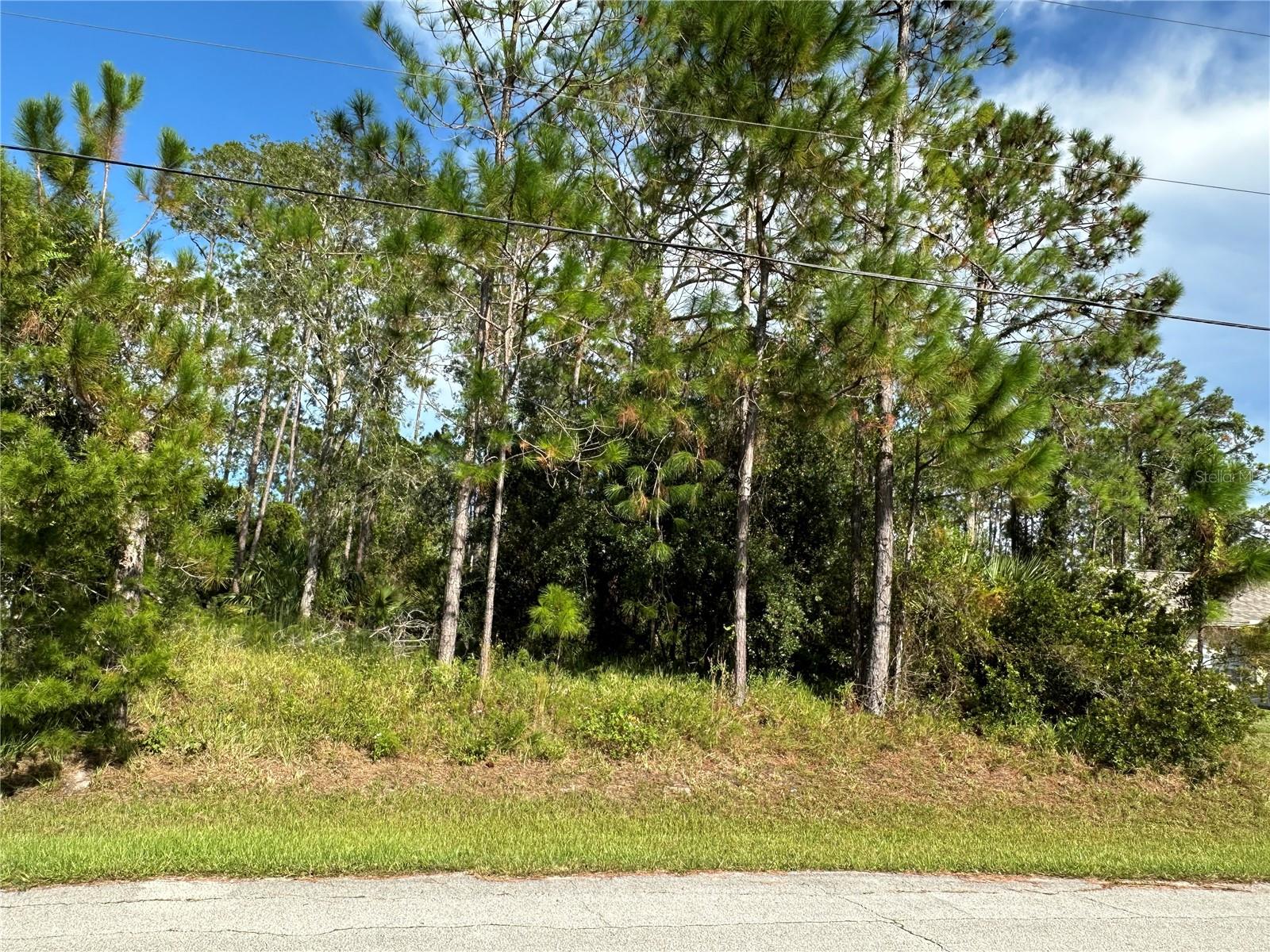 85 PRESIDENTIAL LN, PALM COAST, FL — photo 2