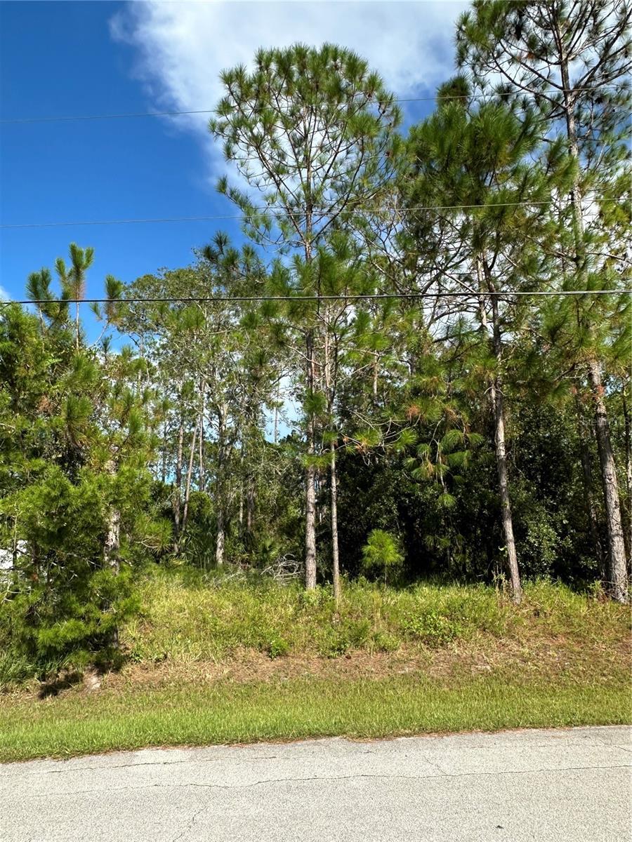85 PRESIDENTIAL LN, PALM COAST, FL — photo 3