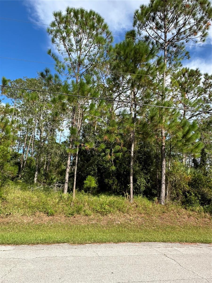 85 PRESIDENTIAL LN, PALM COAST, FL — photo 7