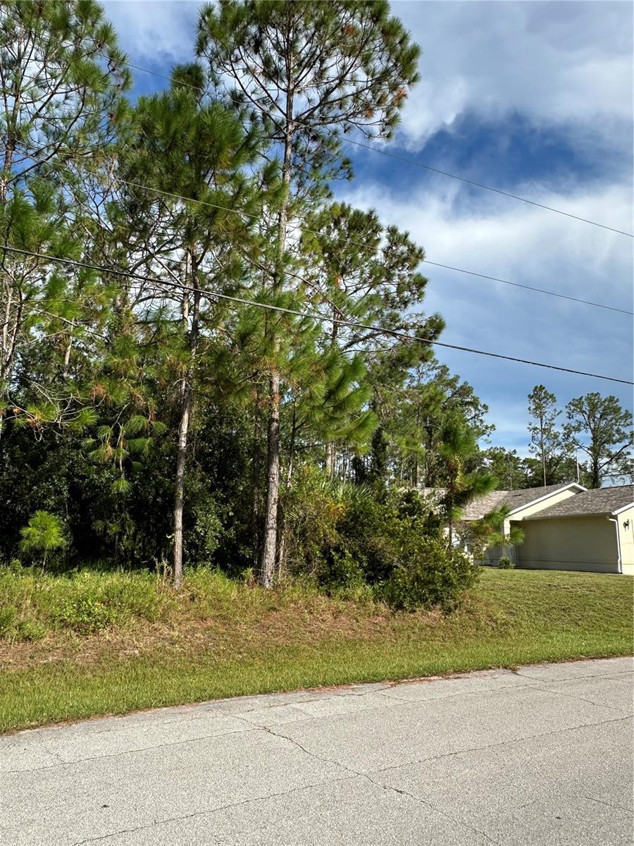 85 PRESIDENTIAL LN, PALM COAST, FL — photo 9