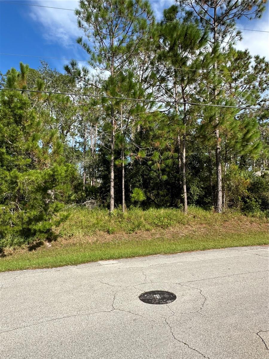 85 PRESIDENTIAL LN, PALM COAST, FL — photo 10