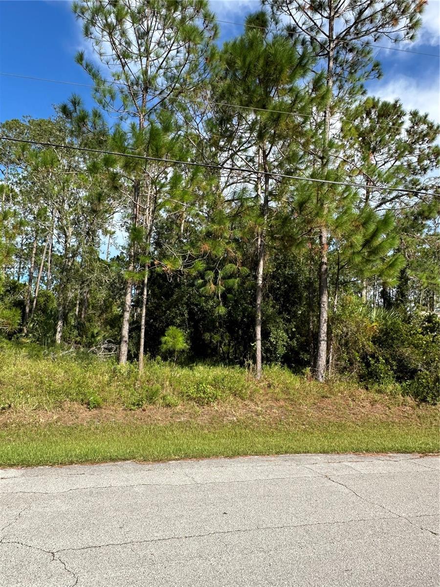85 PRESIDENTIAL LN, PALM COAST, FL — photo 11