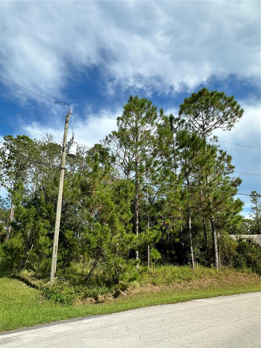 85 PRESIDENTIAL LN, PALM COAST, FL — photo 12