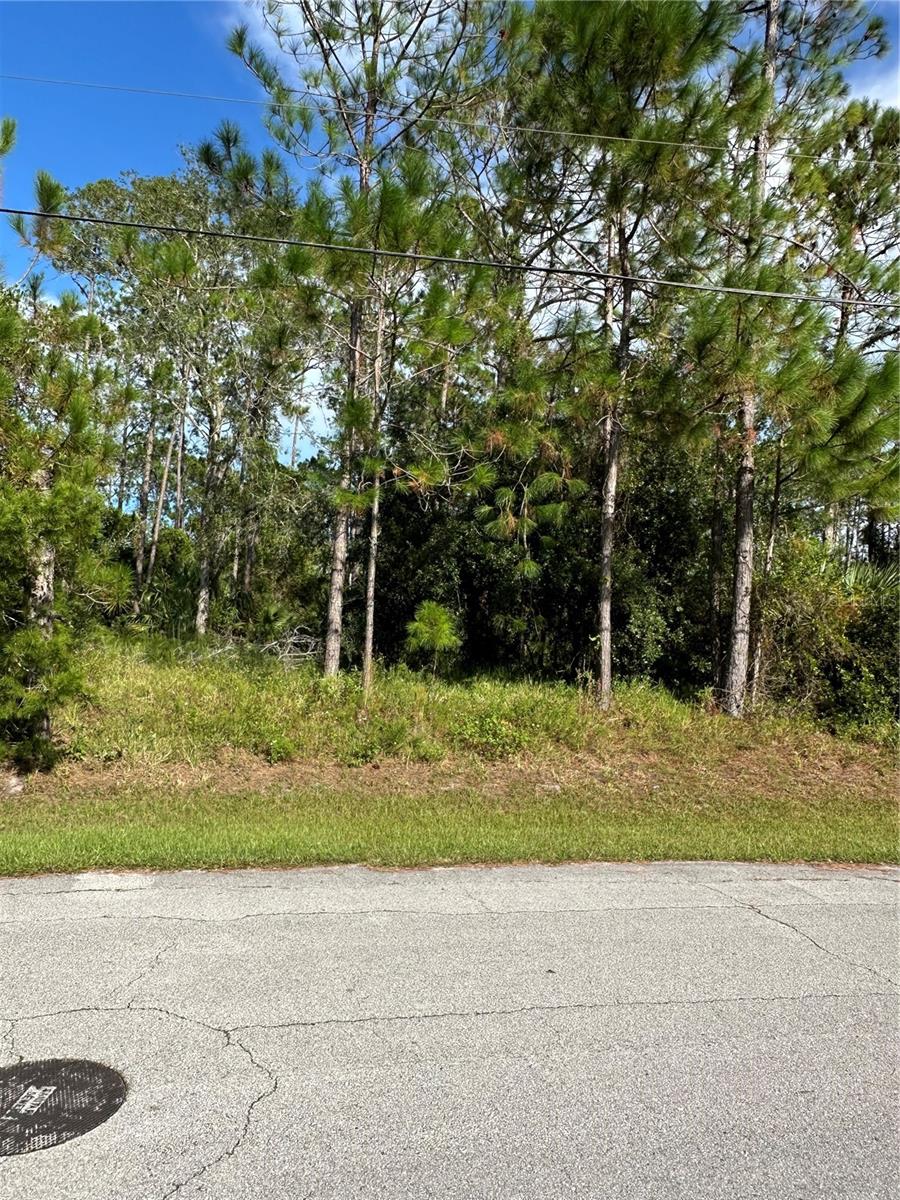 85 PRESIDENTIAL LN, PALM COAST, FL — photo 14
