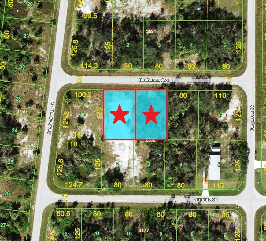 20033 & 20041 BUCHANAN AVE, PORT CHARLOTTE, FL