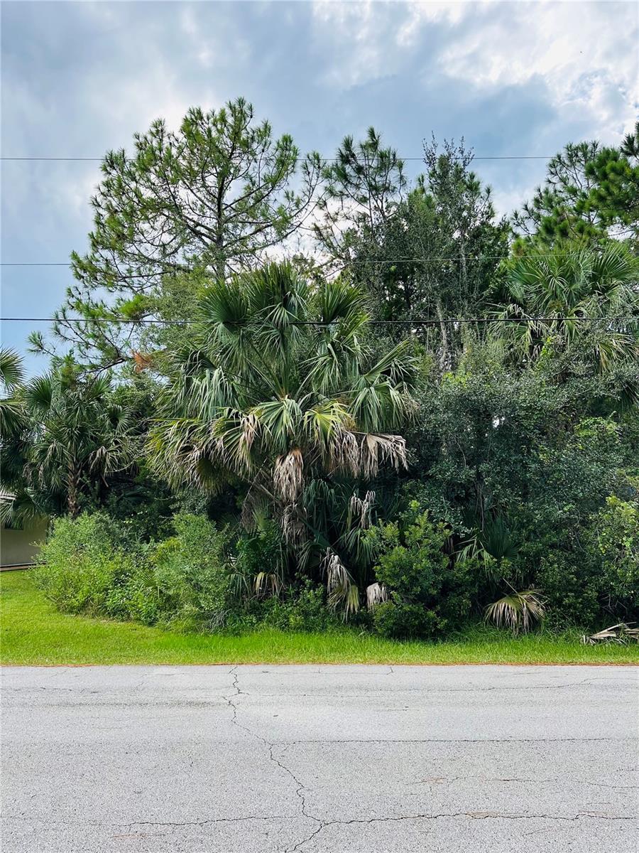 3 SEATTLE TRL, PALM COAST, FL — photo 3
