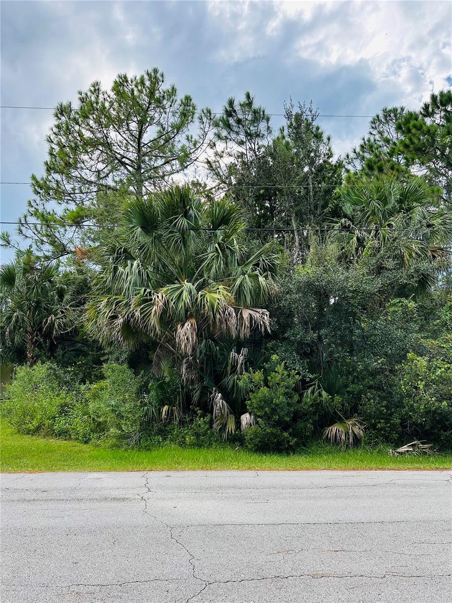 3 SEATTLE TRL, PALM COAST, FL — photo 5