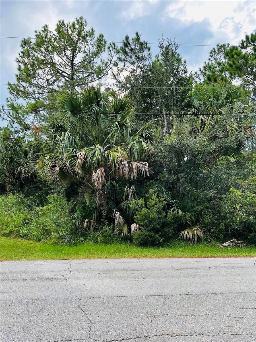 3 SEATTLE TRL, PALM COAST, FL — photo 6